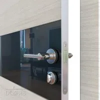 Дверь межкомнатная DO-501 Ива светлая/стекло Черное