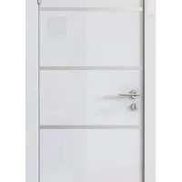 ШИ дверь DG-605 Белый глянец