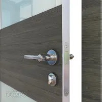 ШИ дверь DO-608 Ольха темная/стекло Белое