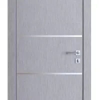 ШИ дверь DG-605 Металлик
