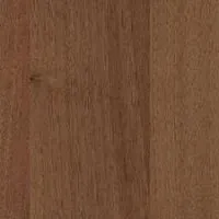 3234 Орех Гварнери