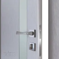 Дверь межкомнатная DO-507 Металлик/Снег