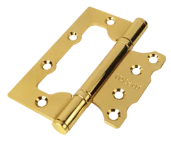 Петля дверная RFH-100*75*2,5 PG