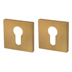 Накладка Armadillo (Армадилло) под цилиндр ET.K.USS52 (ET USS) FSG-39 флорентийское золото