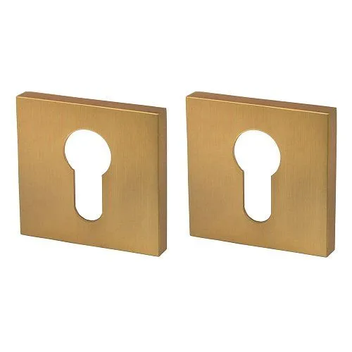 Накладка Armadillo (Армадилло) под цилиндр ET.K.USS52 (ET USS) FSG-39 флорентийское золото