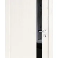 ШИ дверь DO-607 Белый ясень/стекло Черное