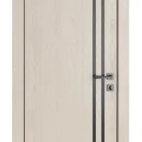 ШИ дверь DG-606 Ясень капучино/молдинг черный