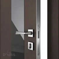 Дверь межкомнатная DO-504 Бронза/стекло Черное