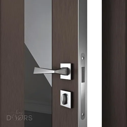 Дверь межкомнатная DO-504 Бронза/стекло Черное