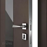 ШИ дверь DO-610 Бронза/стекло Черное