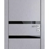 ШИ дверь DO-613 Металлик/стекло Черное