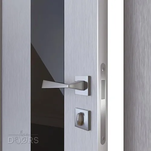 Дверь межкомнатная DO-504 Металлик/стекло Черное