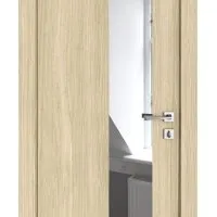 Дверь межкомнатная DO-504 Дуб светлый/Зеркало