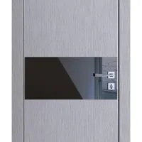 Дверь межкомнатная DO-501 Металлик/стекло Черное