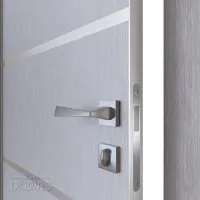 ШИ дверь DG-605 Металлик