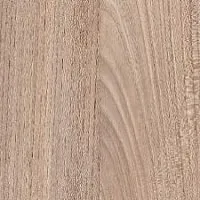 7172 Вяз Палермо темный