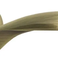 Дверная ручка V20Q