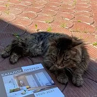 Самый важный клиент