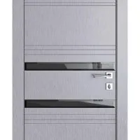 Дверь межкомнатная DO-515 Металлик/стекло Черное