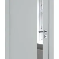 ШИ дверь DO-607 Силк маус/Зеркало