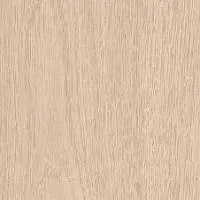 7126 Дуб Тампере