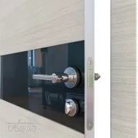 ШИ дверь DO-609 Ива светлая/стекло Черное