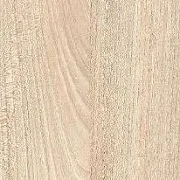 7170 Вяз Палермо