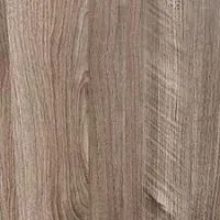 Орех седой светлый