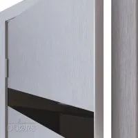 Дверь межкомнатная DO-502 Металлик/стекло Черное