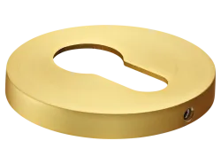 Накладка на евроцилиндр MH-KH-R6 MSG