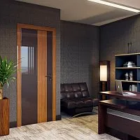 Шумоизоляционная дверь в фоис