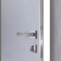 ШИ дверь DG-600 Металлик