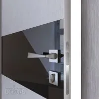 ШИ дверь DO-601 Металлик/стекло Черное