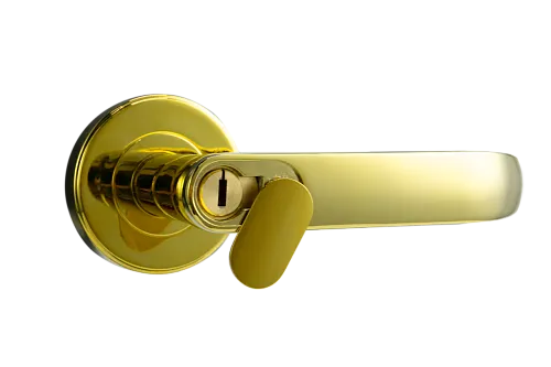 Электронный гостиничный онлайн замок HSU-9905BT-PG