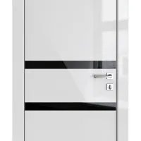 ШИ дверь DO-613 Серый глянец/стекло Черное