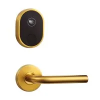 Электронный гостиничный замок HSU-9902-G