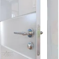 Дверь DO-501/1 Белый глянец/Снег Скидка 50 %!