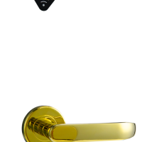 Электронный гостиничный онлайн замок HSU-9905BT-PG