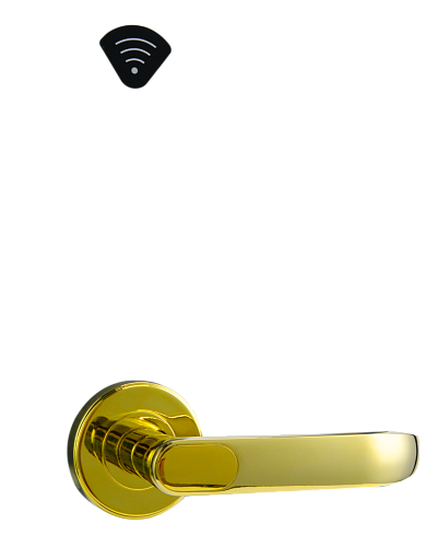 Электронный гостиничный онлайн замок HSU-9905BT-PG