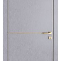 ШИ дверь DG-622 Металлик/молдинг золотой