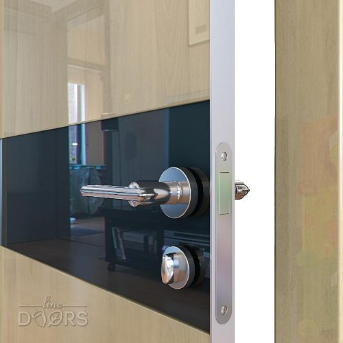 Дверь межкомнатная DO-509 Анегри светлый/стекло Черное