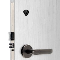 Электронный гостиничный онлайн замок HSU-9905BT-TH