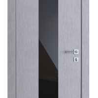 ШИ дверь DO-610 Металлик/стекло Черное