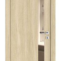 Дверь межкомнатная DO-507 Дуб светлый/зеркало Бронза