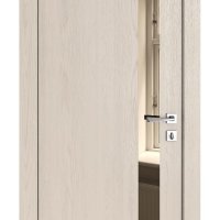 ШИ дверь DO-607 Ясень капучино/зеркало Бронза