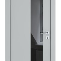 Дверь межкомнатная DO-504 Силк маус/стекло Черное