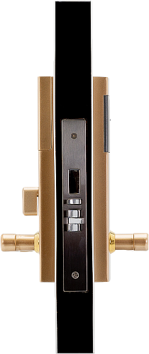 Электронный гостиничный онлайн замок HSU-9910BT-YG