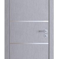 ШИ дверь DG-605 Металлик