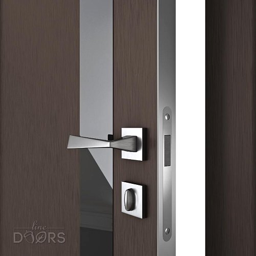 Дверь межкомнатная DO-507 Бронза/стекло Черное