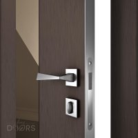 Дверь межкомнатная DO-510 Бронза/зеркало Бронза